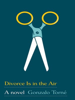 Divorce Is in the Air - ebook